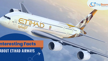 Etihad Airways – 21 Must-Know Facts about It- Tripbeam.com